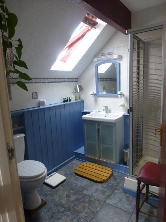 Ty Carreg Bed & Breakfast Llanwrtyd Wells ห้อง รูปภาพ
