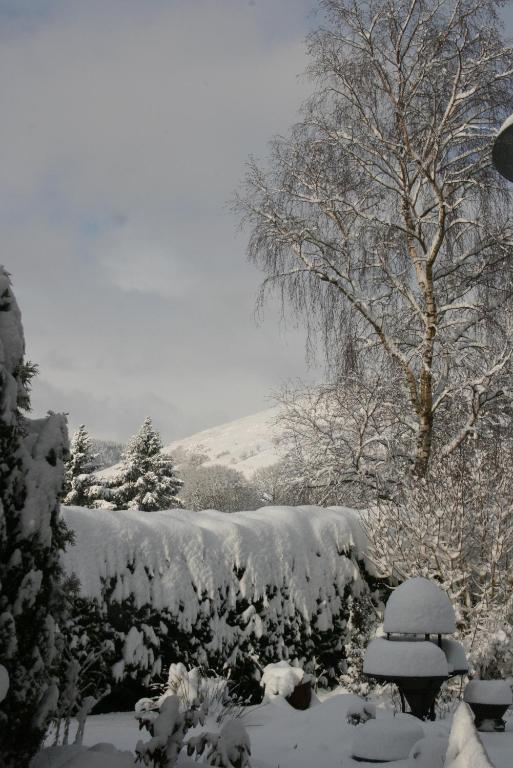 Ty Carreg Bed & Breakfast Llanwrtyd Wells ภายนอก รูปภาพ