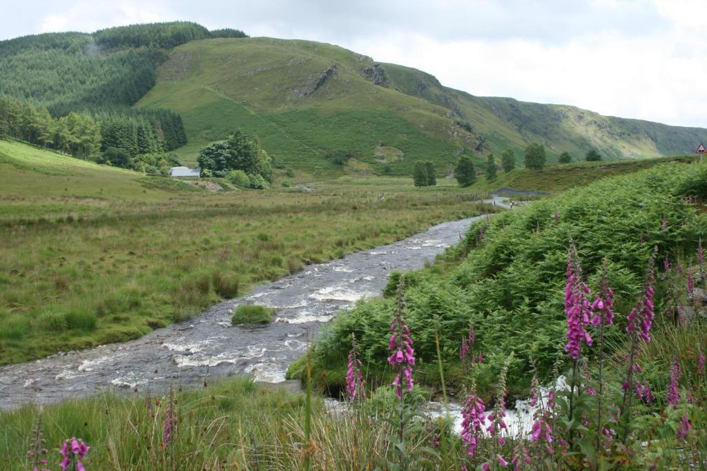 Ty Carreg Bed & Breakfast Llanwrtyd Wells ภายนอก รูปภาพ
