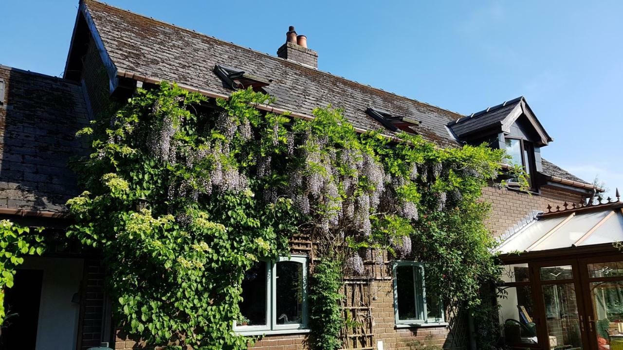 Ty Carreg Bed & Breakfast Llanwrtyd Wells ภายนอก รูปภาพ
